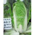 Hybrid Cabbage seeds for growing- Autumn Fragrant Baby